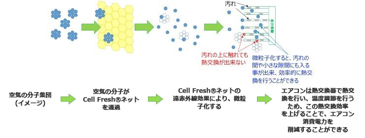 構造